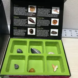 Weird N Wild Creatures Lot: Case, Big 1-8 group /Small Cards & Fossil Collection - Image 2