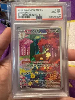 2024 POKEMON TEF EN-TEMPORAL FORCES ILLUSTRATION RARE #166 SAWSBUCK PSA 10 - Image 1