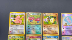 [No Import Duty (US)] Southern Islands Tropical Rainbow Complete Pokemon Card - Image 2