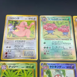 [No Import Duty (US)] Southern Islands Tropical Rainbow Complete Pokemon Card - Image 4