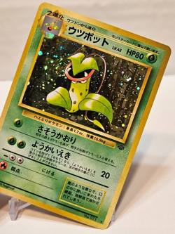 Victreebel No. 071 Holo Rare SWIRL Japanese Pokemon Pocket Monsters 1197 - Image 4