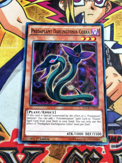 Predaplant Darlingtonia Cobra macr-en010 1st Edition (NM) Common Yu-Gi-Oh! - Image 1