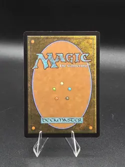 Changeling Wayfinder (Foil) - 0001 - Lorwyn Eclipsed ECL - MTG - NM/M - Image 2