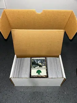 500 Magic the Gathering Basic Land FOREST ONLY + Card Storage Box MTG - Image 1