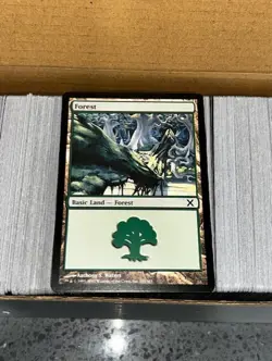 500 Magic the Gathering Basic Land FOREST ONLY + Card Storage Box MTG - Image 2