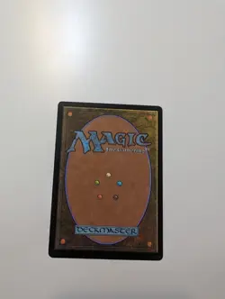 MTG - Island 0273 (Foil) - Murders at Karlov Manor NM/M - Image 4