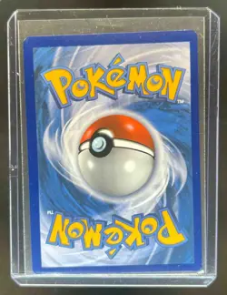 2019-2023 Pokemon SWSH Black Star Promos Charizard VST #SWSH262 - Image 2