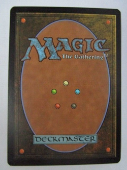 MTG Graypelt Refuge Zendikar Light Play!! - Image 2