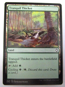 MTG Tranquil Thicket Commander Anthology Volume II Land Light Play!! - Image 1