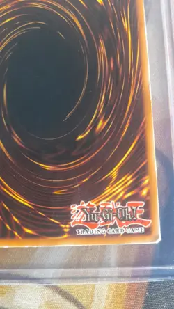 Royal Oppression - LOD 091 - YuGiOh - Image 3