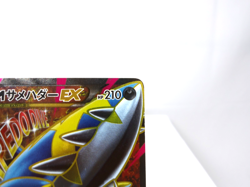 M Sharpedo EX {178/171} [XY] 2017 The Best of XY Pokemon Japan - Lightly Played - Image 3