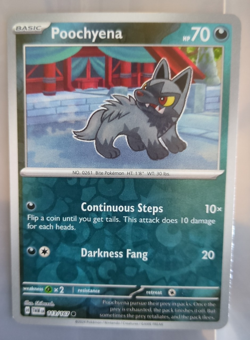 Poochyena 113/167 Pokemon TCG Common Reverse Holo Near Mint - Image 1