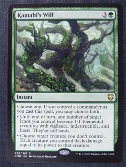 Kamahl's Will - Mtg Card #2QE - Image 1