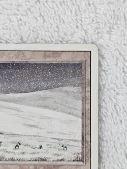 MTG Revised Tundra Dual Land 1994 Jesper Myrfors Reserved List - CardVault - HP - Image 3