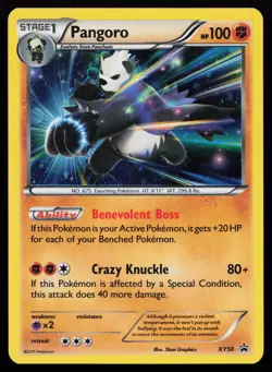 Pangoro XY50 Promo XY Promos Pokemon Card - Image 1