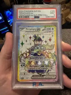 🔴2024 Pokemon Terapagos ex 165 Sv: Scarlet & Violet Promo Cards Holo PSA 9 - Image 1