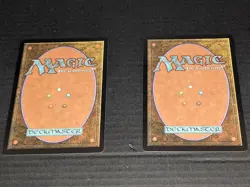Magic the Gathering Oil Slick Raised Foil Lands Full Set (2 of each) NM - Image 2