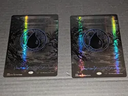 Magic the Gathering Oil Slick Raised Foil Lands Full Set (2 of each) NM - Image 3