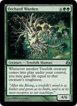 MTG - Orchard Warden Morningtide - Image 1