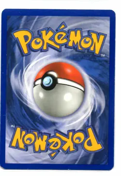 Pokemon Card 2023 SQUAWKABILLY EX Ultra Rare Holo 169/193 Paldea Evolved NM/M - Image 4