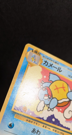 Pokemon - Wartortle - No.008 - 3 - Intro Pack - Squirtle Deck - Japanese - Image 5