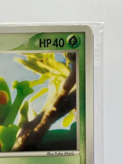 SEALED! Treecko Pokemon Center Yokohama Promo Yuka Morii Japanese 037/PCG-P - Image 5