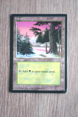 Carte Magic MTG : FOREST - Land - Version anglaise - Image 1