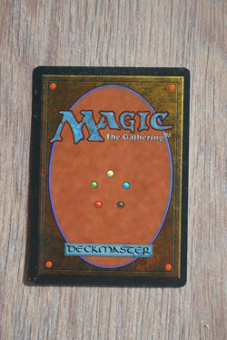 Carte Magic MTG : FOREST - Land - Version anglaise - Image 2