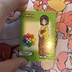 2025 Pokemon Kanto Full House - Circles Holo Gym Leaders - Erika - L5 - Image 2