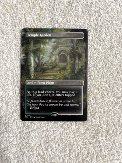 Temple Garden (Borderless) Lorwyn Eclipsed Regular - White/Green Land- NM - Image 1