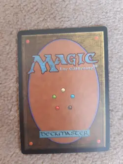 MTG 1 x Zhalfirin Crusader - Visions - Image 2