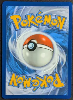 Morpeko 2020 Black Star Promo Cosmos Holo Pokemon Card SWSH012 (NM) - Image 2