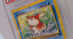 Pokemon- Goldeen- 1st Edition #53/64 - Jungle 1999- PSA 9 - Image 2