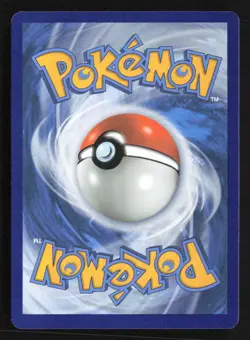 Greninja Star Promo Holofoil SWSD SWSH144 NM Pokemon TCG - Image 2