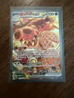 Dachsbun ex 169/142 Stellar Crown Special Illustration Rare Pokemon TCG NM - Image 1