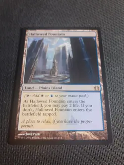 Hallowed Fountain ~ Return to Ravnica [ Excellent ] [ Magic MTG ] - Image 1