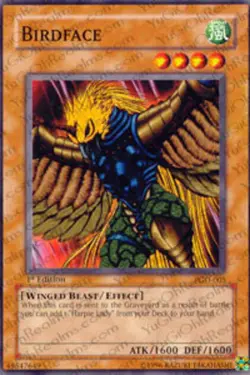 1x (LP) Birdface - PGD-005 - Common - Unlimited Edition YuGiOh - Image 1
