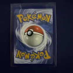 Pokemon TCG Turtwig GG31/GG70 Crown Zenith: Galarian Gallery Holo NM/M - Image 2