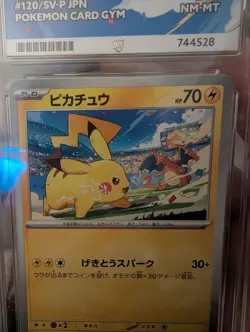 Pikachu 120/SV-P 2023 Promo Pokemon Card Gym ACE Graded 8 NM-MT Japanese - Image 2