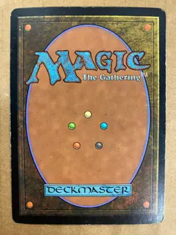 MTG 1x FOIL Forest # 349 Onslaught Pauper Magic the Gathering Card x1 HP - Image 2