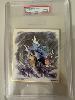 PSA 8 Gyarados No. 7 Art 1 2019 Pokemon Shikishi board Graded Japanese - Image 1