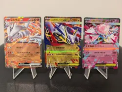 Pokemon TCG Job Lot Bundle 12 Cards Japanese Rare EX Mega Holo - All Pack Fresh! - Image 4
