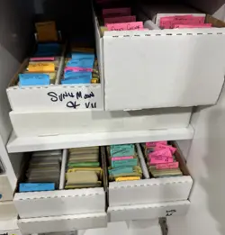 Bulk Pokemon Card Lots - Pick size - No Energy or Trainers - Buy more, Get More! - Image 4