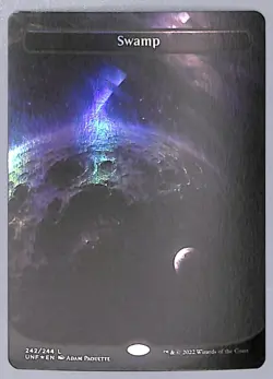 Swamp - Borderless - Foil - 242 - Unfinity (UNF) MTG - Image 1