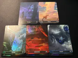 EoE borderless full land set in both foil and non foil. MTG NM - Image 2