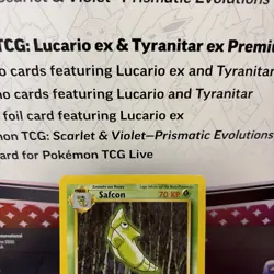 Pokemon TCG Metapod (Safcon) 54/102 1st Edition German Base Set Common NM - Image 2