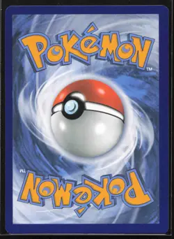 Lucario VSTAR - Promo SWSH: Sword & Shield Promo Cards SWSH291 NM - Image 2