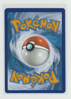 Pokemon TCG - Yveltal - 205/182 Sv04: Paradox Rift, Illustration Rare NM - Image 2