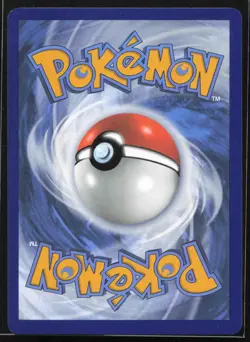 Lucario VSTAR - Promo SWSH: Sword & Shield Promo Cards SWSH291 NM - Image 2