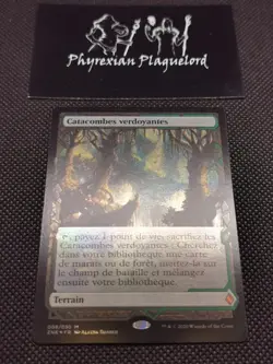 MTG Magic Verdant Catacombs *FOIL* Zendikar Rising Expeditions NM French Fetch - Image 3